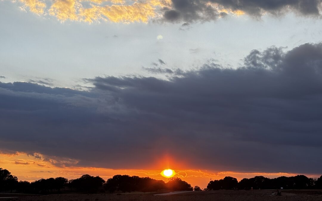 Driving to reconcilliation